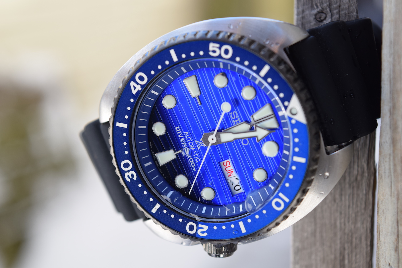Seiko SRPC91K1 Save the Ocean Turtle Wrist Time Review | Page 2 of 2 |  aBlogtoWatch