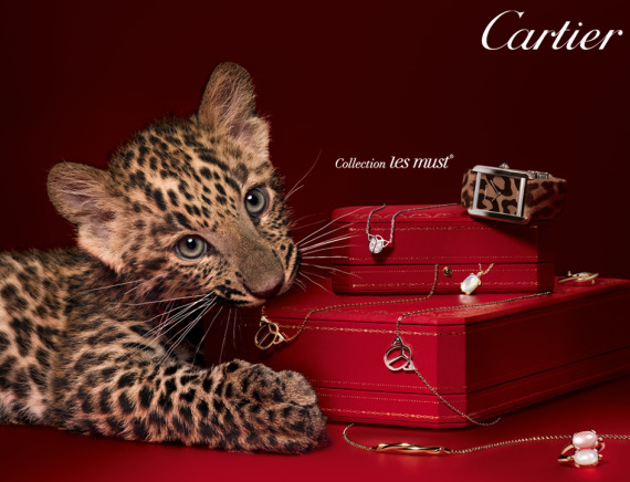 cartier cheetah