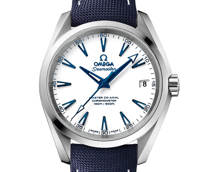 omega seamaster aqua terra master chronometer price