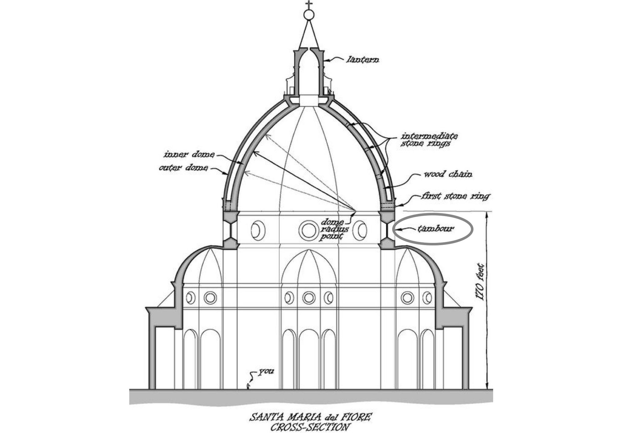 Купол собора Санта Мария дель Фьоре разрез