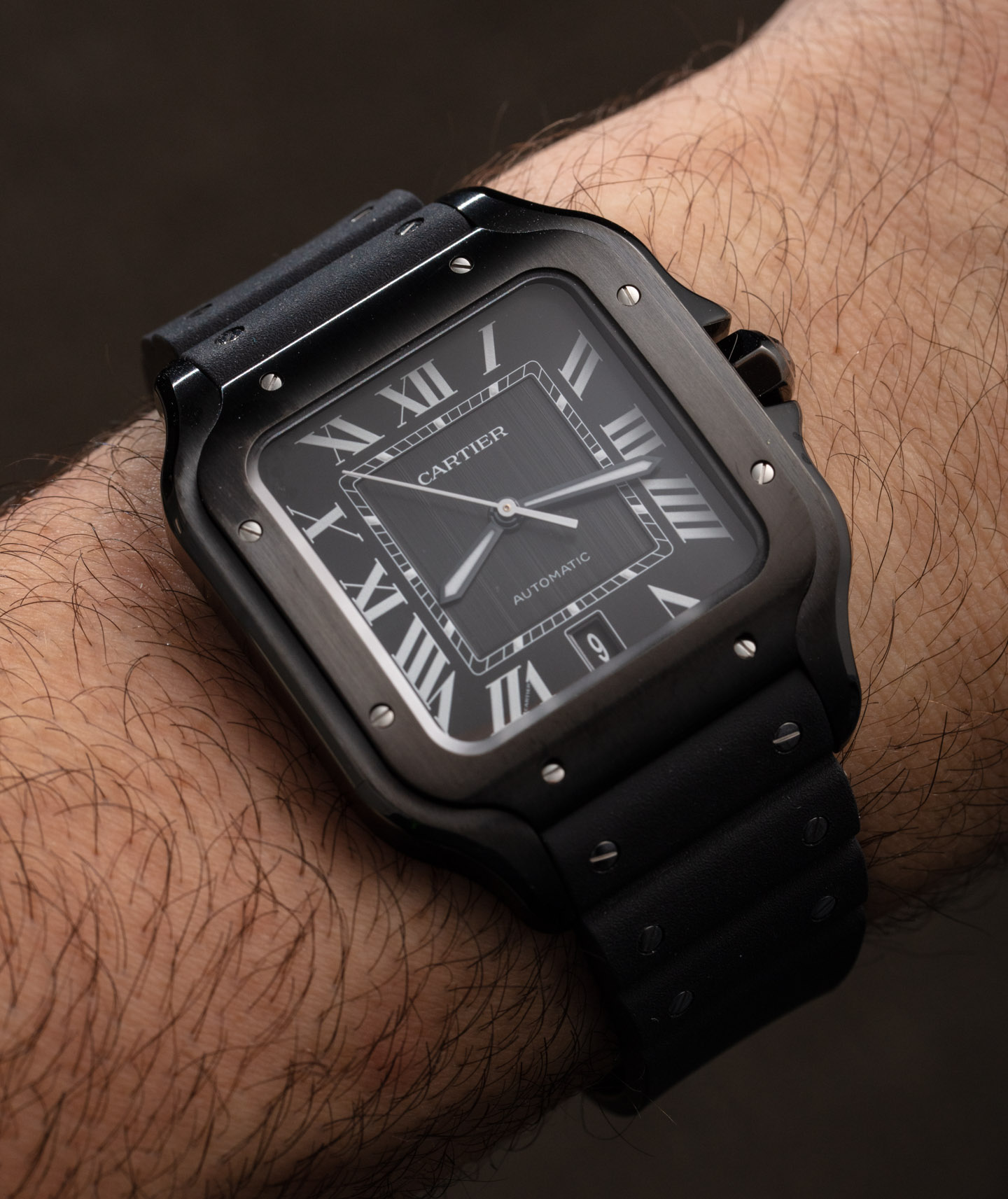 Cartier Santos WSSA0039 Watch 1 