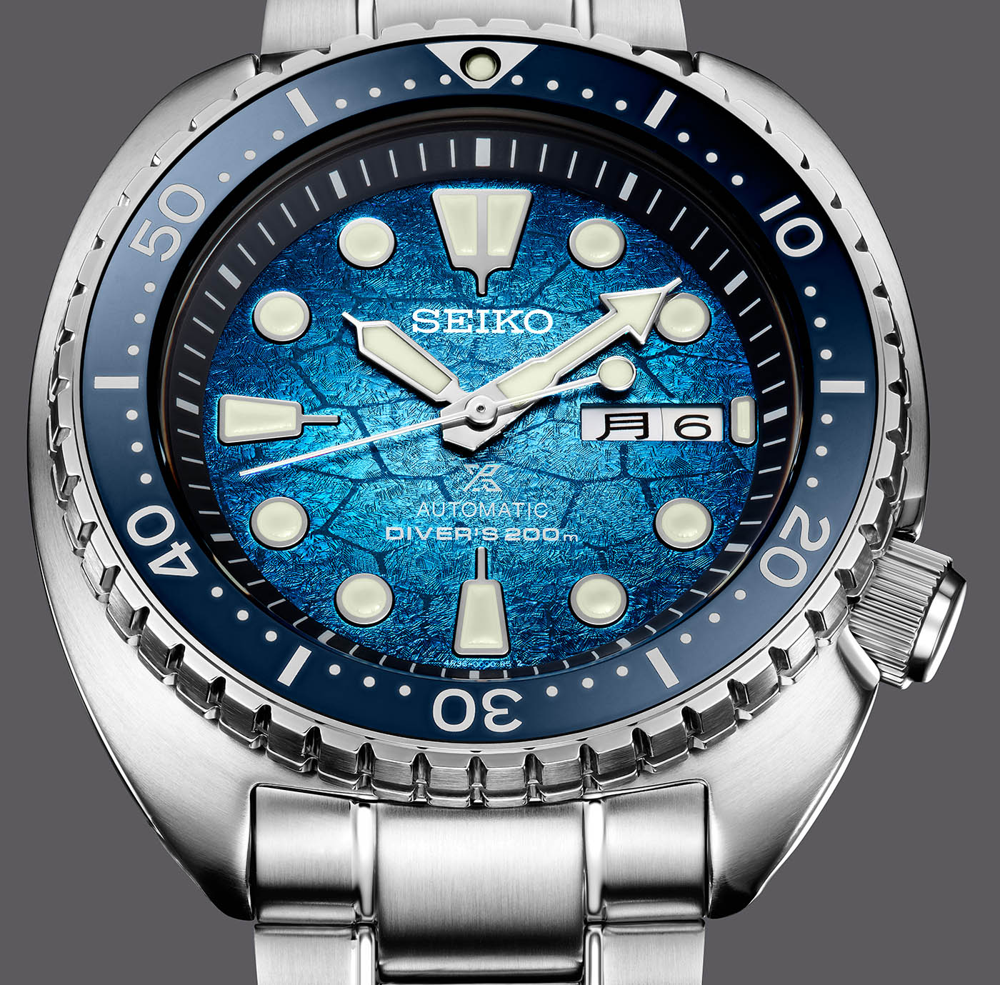 Top 52+ imagen seiko limited edition turtle