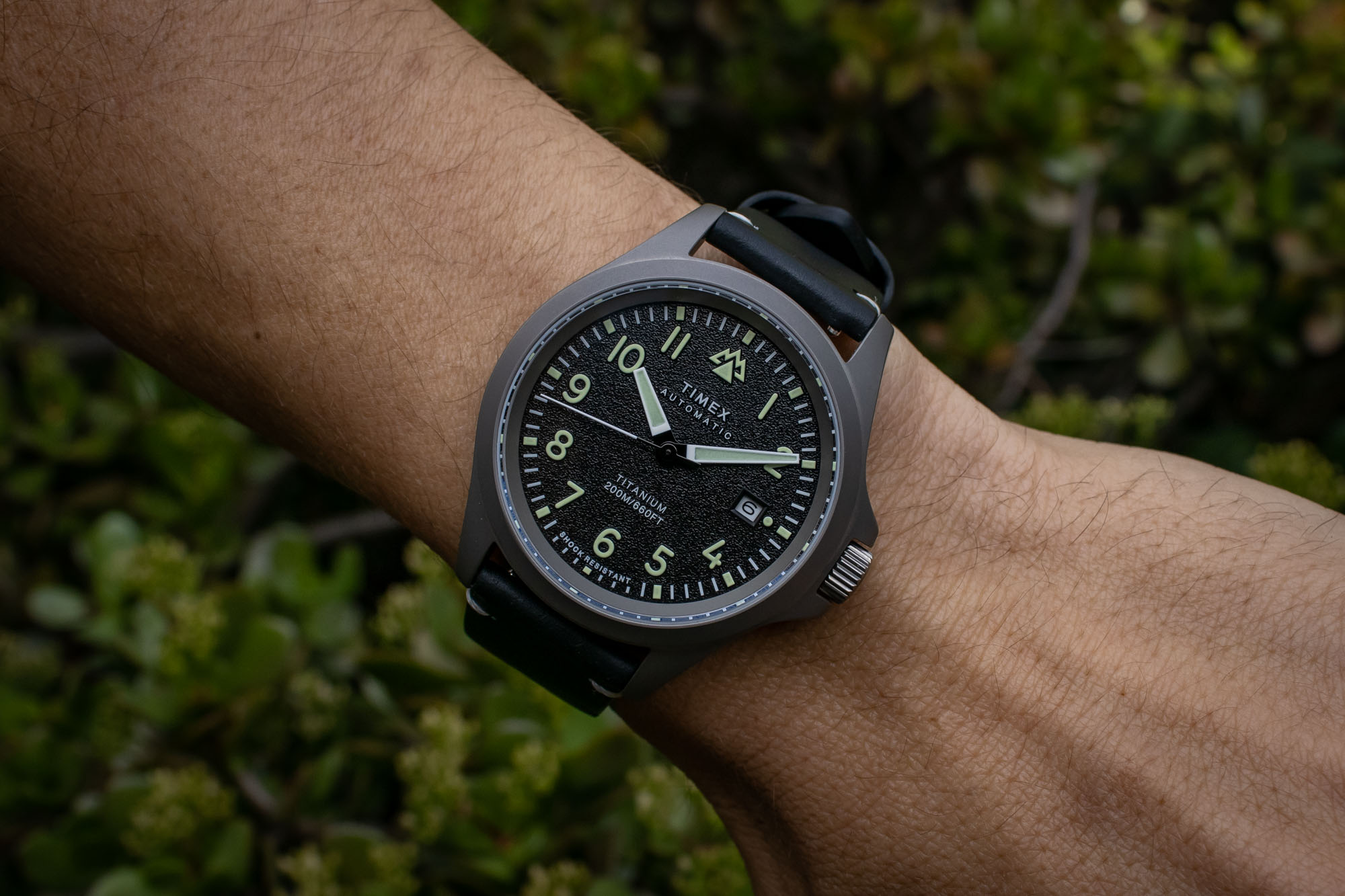 Top 91+ imagen expedition north timex