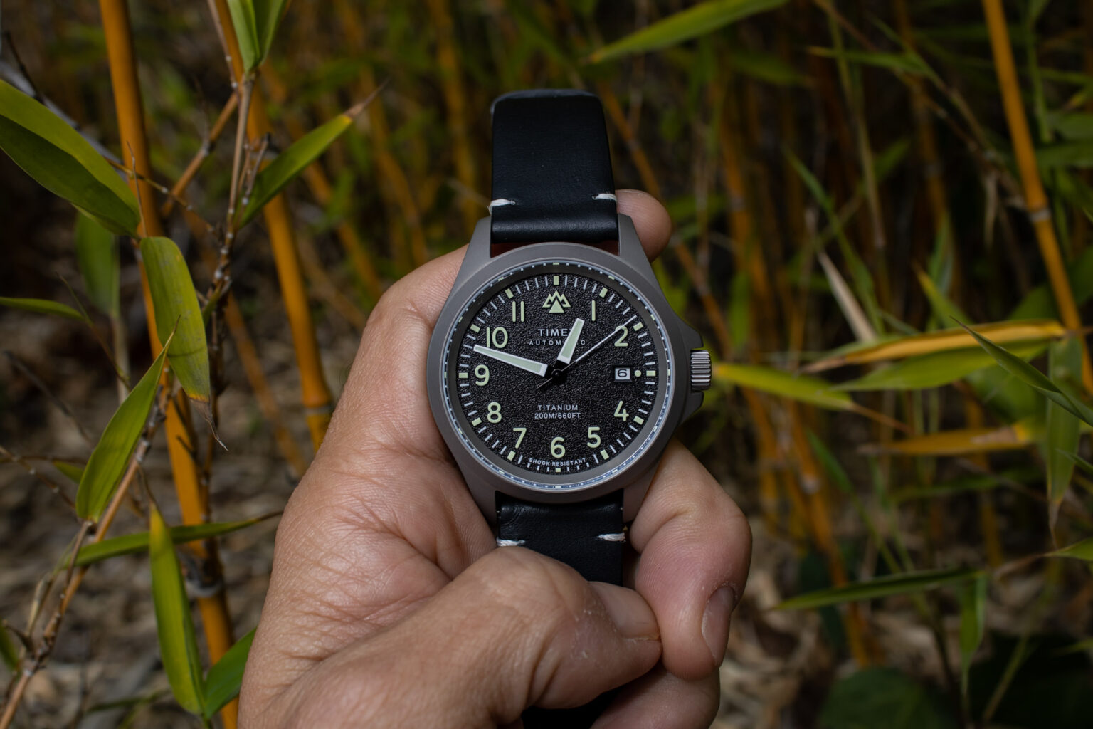 Hands-On: Timex Expedition North Titanium Automatic Watch | aBlogtoWatch