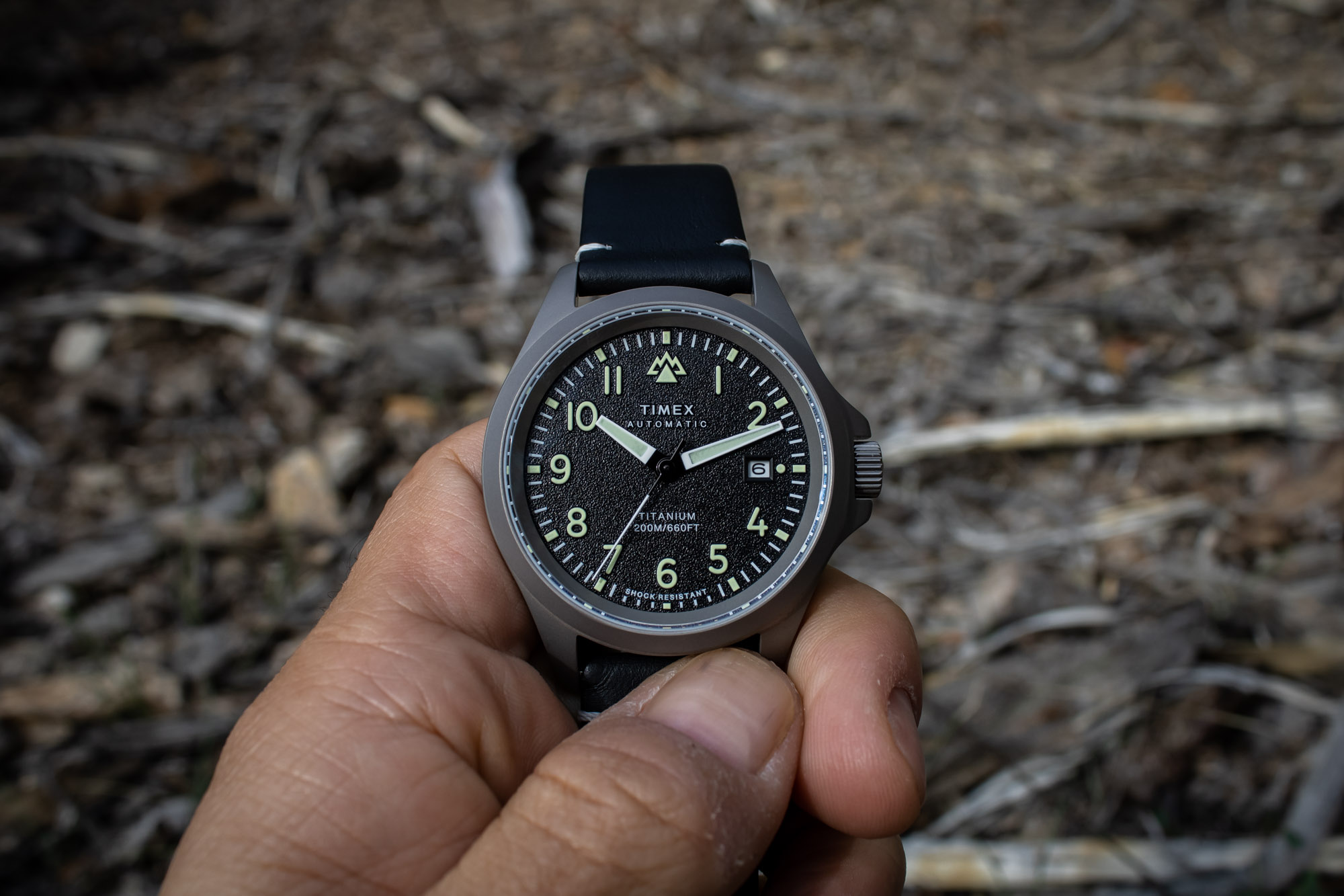 Top 66+ imagen timex expedition automatic