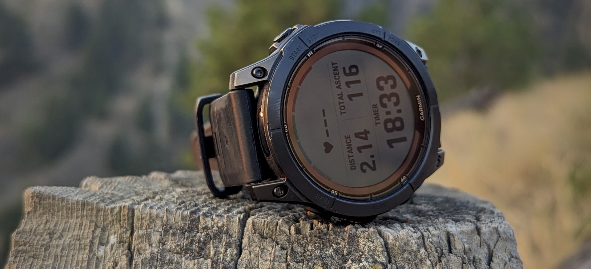 Garmin Fenix 6 heart rate measurement accuracy tested in new study